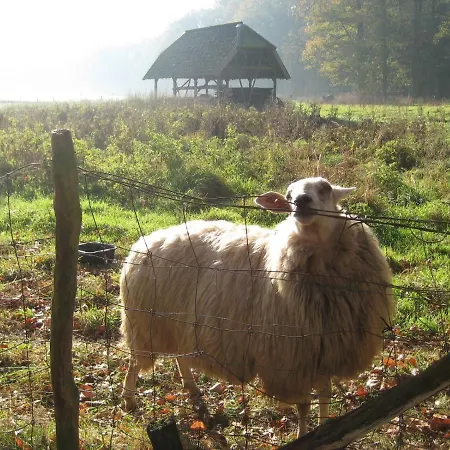 The Farmer's Daughter