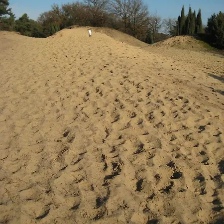 The Farmer's Daughter ゲストハウス フェンラユ