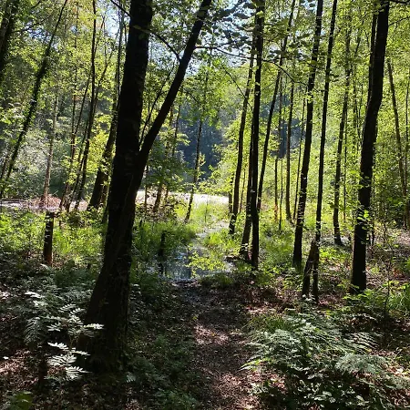 Pensión The Farmer's Daughter 3*