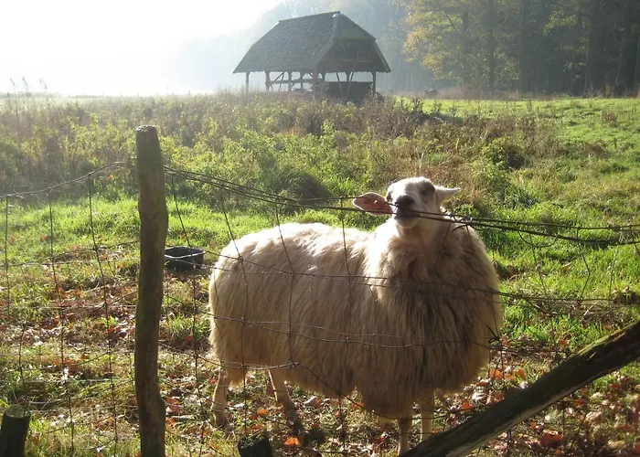 The Farmer's Daughter