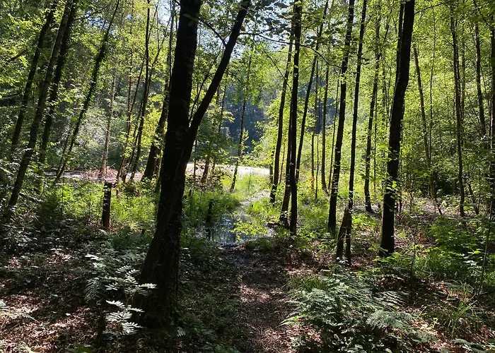 Casa de hóspedes The Farmer's Daughter 3*