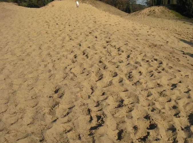 The Farmer's Daughter Gæstehus Venray